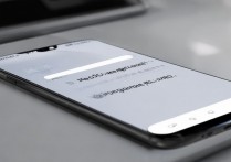 vivoy23怎么升级系统，vivoy23系统升级教程