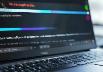 三星安全系统更新失败怎么回事，三星手机安全系统更新失败原因及解决方法