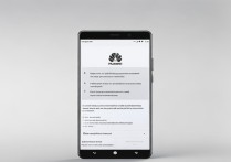 华为手机怎么切换内存