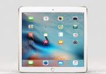 ipad mini 4尺寸