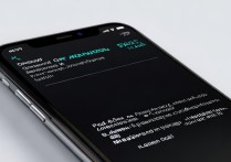 苹果6s的拍照怎么调