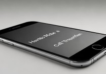 苹果5s怎么设置呼叫转移？详细步骤是什么？