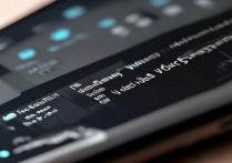 vivo手机如何刷入小米开发版系统？