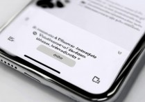 苹果 11 怎么查看推送消息，iPhone 通知栏设置与权限管理