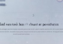 华为怎么复制粘贴？华为手机如何快速复制粘贴文字？