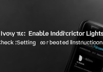 vivoy66怎么没有指示灯？哪里设置能开启？