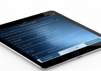 ipad 如何进入恢复模式