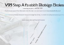 vivo Y9s蓝牙导号码步骤详解，新手也能轻松学会？