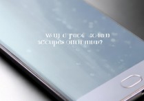 oppo手机怎么看型号配置，oppo手机型号在哪里看