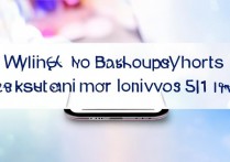 vivoy51 怎么备份联系人？vivoy51 备份联系人的方法是什么