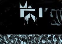 vivox20怎么下载手机内存卡上