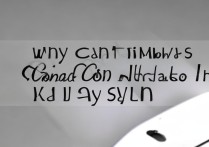 苹果6S为何无法连接使用起亚UVO系统？