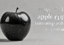 苹果怎么成黑白的了，苹果手机屏幕变黑白怎么调回来