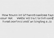 VIVO Y27双击放大功能怎么关闭?设置里找不到开关怎么办?