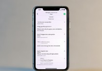 苹果6splus暖屏怎么调