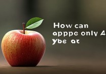 苹果怎么只使用4g流量吗