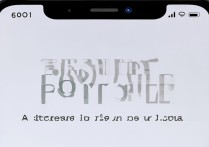 苹果手机变字体怎么变大怎么办啊