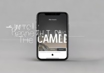 苹果手机怎么改拍拍的名字