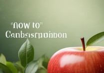 apple 订阅怎么取消