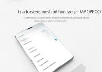 oppo手机怎么把歌传到mp3？详细步骤有吗？