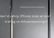 苹果手机屏幕不亮不黑了？怎么回事啊？