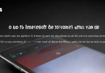 三星c9怎么沉浸状态栏？三星C9状态栏怎么设置透明