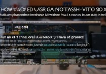 vivox9如何用SD卡刷机？详细步骤教程在这里