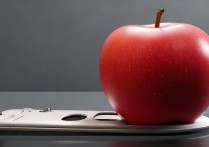 苹果换电板充不进电怎么办，苹果手机换电池后无法充电是什么原因