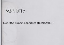 vivo T1X支持指纹解锁吗？锁屏怎么解锁？