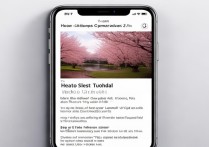 日本iPhone相机拍照声音怎么彻底关闭？
