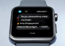 苹果手表怎么发文本，苹果手表发文字教程，苹果手表发消息