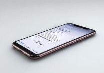 小米13Ultra限量定制色查看内存占用教程