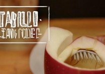 苹果听筒怎么清理？听筒堵塞声音小怎么办