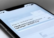 华为手机输入不能显示不出来怎么办啊