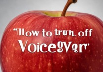 苹果怎么关voiceover？苹果手机voiceover怎么关闭教程