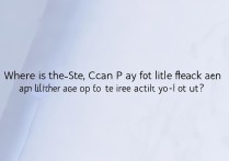 小黑鱼扫码付功能在哪开？开通步骤是什么？