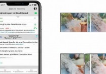 苹果手机怎么添加输入法？新手步骤详解指南