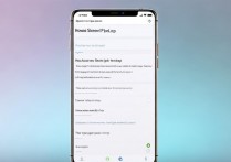 oppo手机怎么弹出识屏功能?设置步骤是什么?