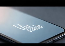 vivox6d怎么没声音了