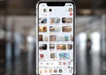 苹果手机里的个人收藏怎么用，苹果手机个人收藏功能怎么使用