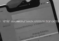 苹果6s打开数据显示3G怎么办？