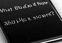 苹果四手机黑屏怎么办啊