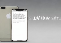 苹果7怎么回到激活页面？苹果7强制重新激活教程