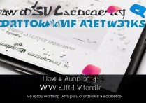 vivo 怎么连网？vivo 手机连接 WiFi 和移动网络方法详解