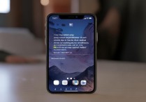 苹果手机怎么下载不了软件了