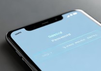 oppo 手机 wifi 密码查看