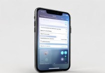 苹果6plus怎么设界面