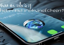 苹果手机屏幕内有水怎么办啊