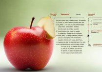 苹果赔款怎么领？申请条件与流程详解