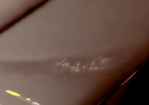 OPPO素皮材质怎么用才耐脏又显新？日常养护技巧有哪些？